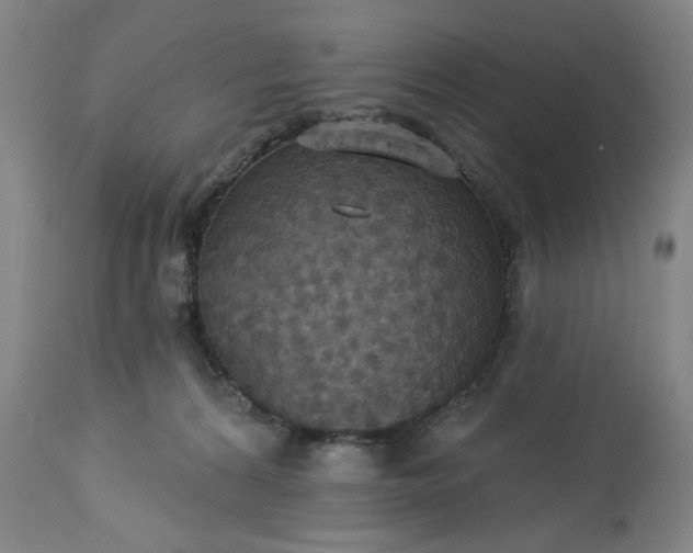 X0000113230224200909241530