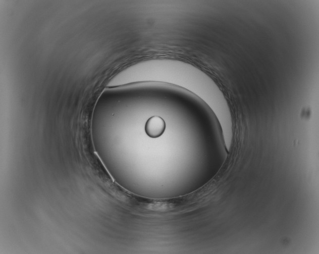 X0000113230225200909241530