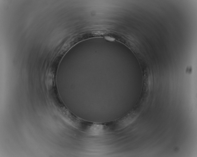 X0000113230227200909241530