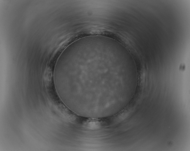 X0000113230228200909241530