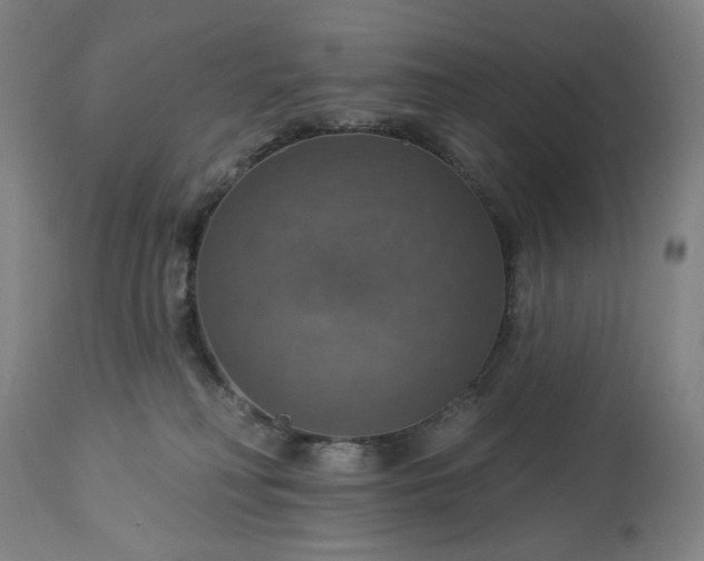 X0000113230230200909241530