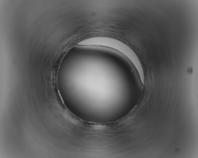 X0000113230233200909241530