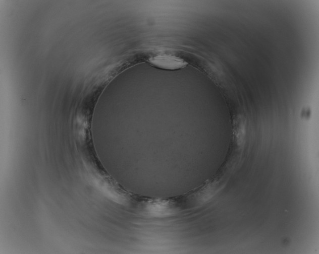 X0000113230235200909241530