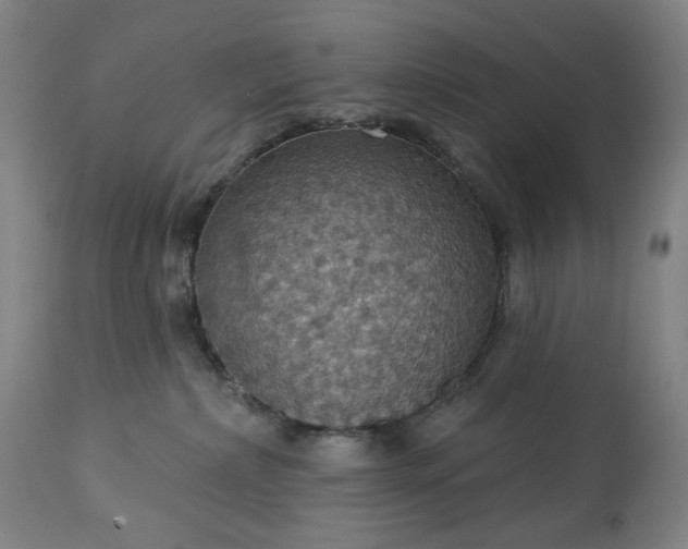 X0000113230236200909241530