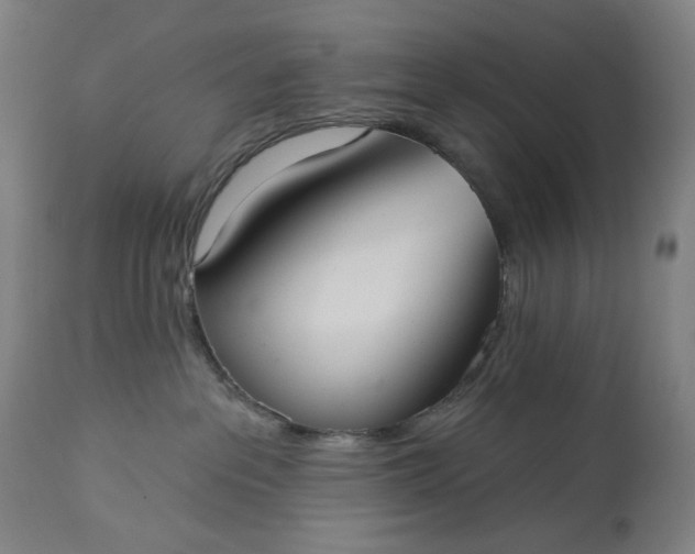 X0000113230237200909241530