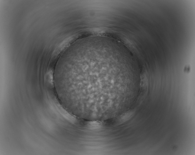 X0000113230238200909241530