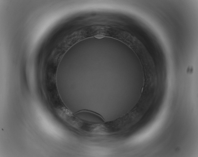 X0000113230239200909241530