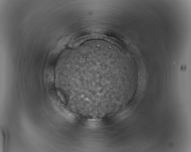 X0000113230240200909241530