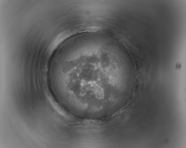 X0000113230242200909241529