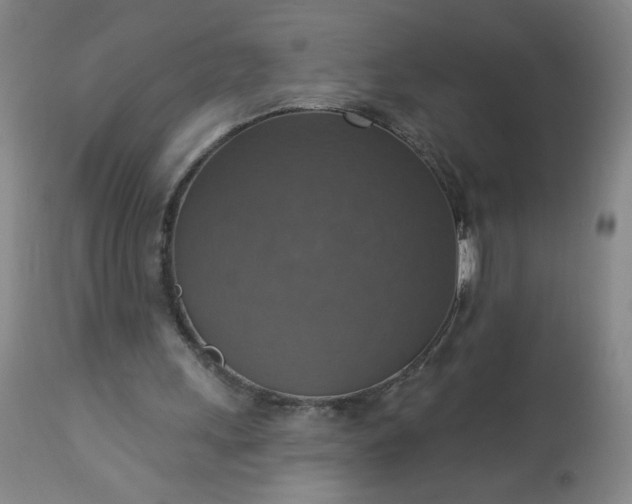 X0000113230243200909241529