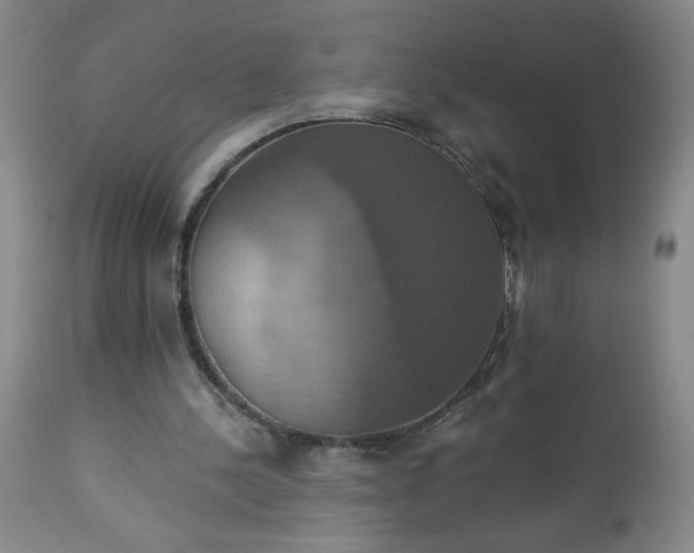 X0000113230244200909241529