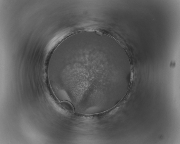 X0000113230245200909241529