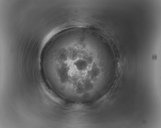 X0000113230246200909241529