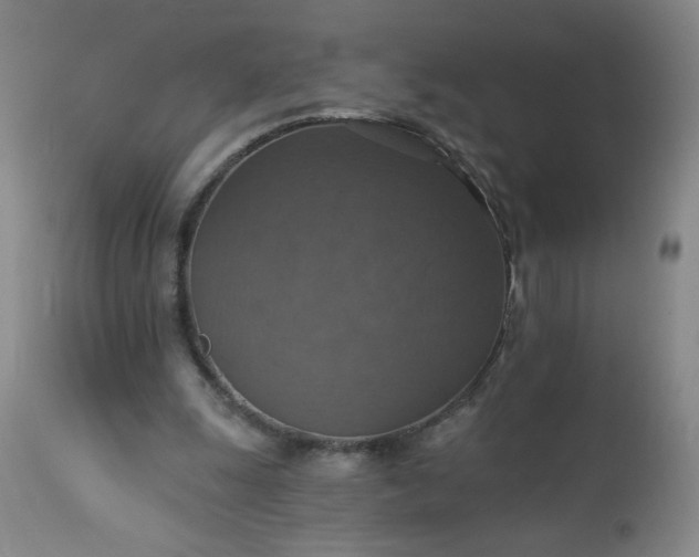 X0000113230247200909241529