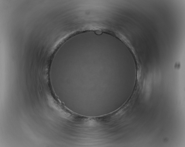 X0000113230249200909241529