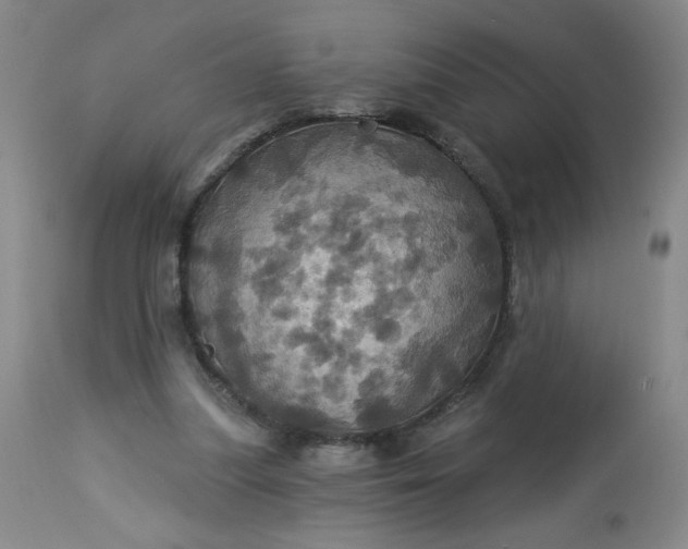 X0000113230251200909241529