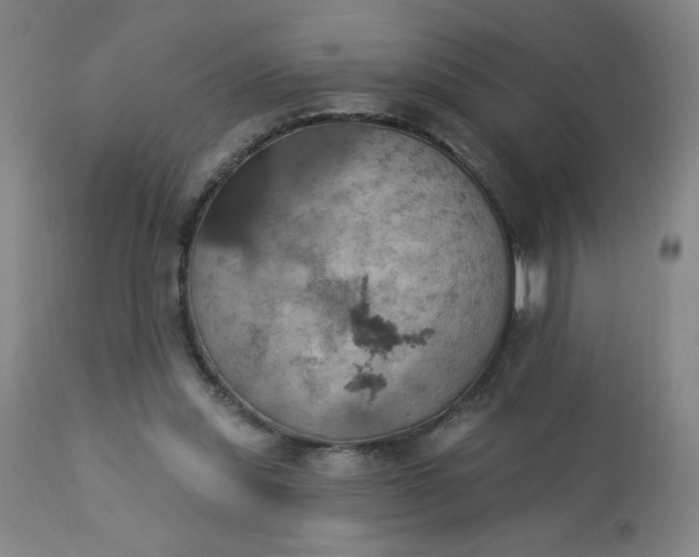 X0000113230253200909241529