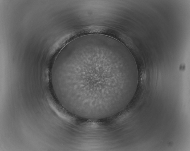 X0000113230254200909241529