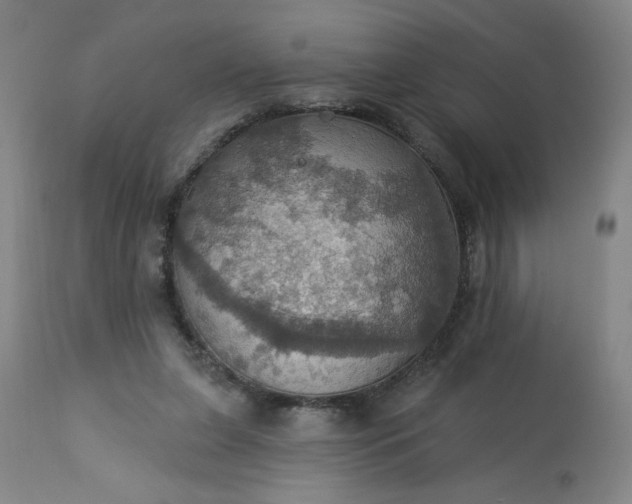 X0000113230255200909241529