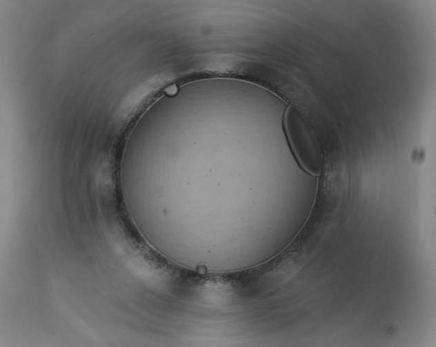 X0000113230256200909241529