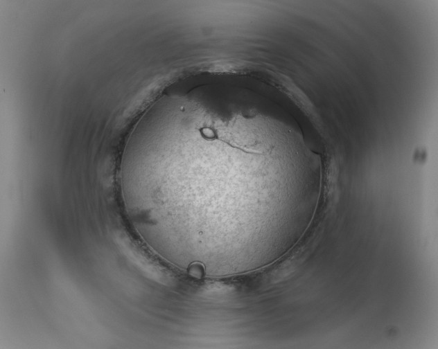 X0000113230257200909241529