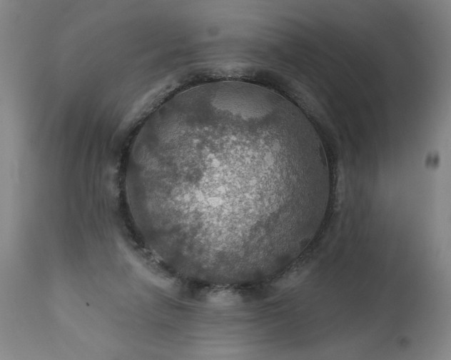 X0000113230258200909241529