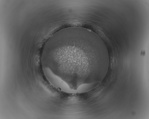 X0000113230259200909241529