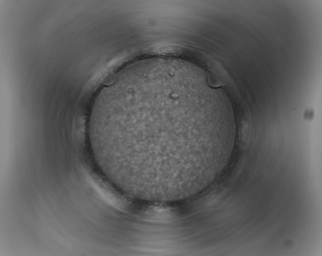 X0000113230260200909241529