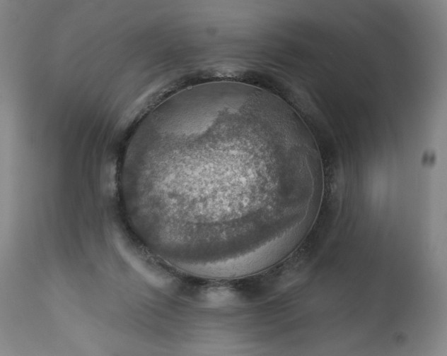 X0000113230262200909241529