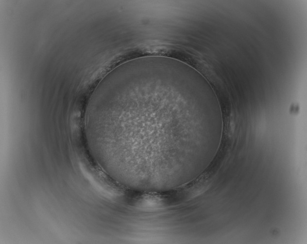 X0000113230263200909241529