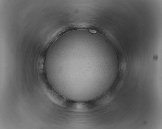 X0000113230264200909241529