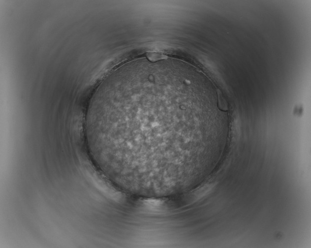 X0000113230265200909241529