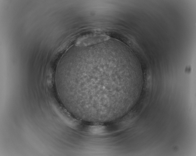 X0000113230266200909241529