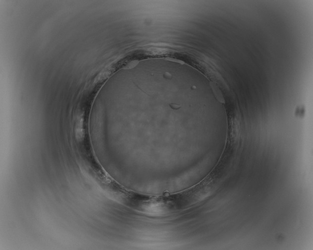 X0000113230267200909241530