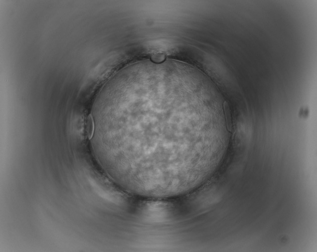 X0000113230268200909241530