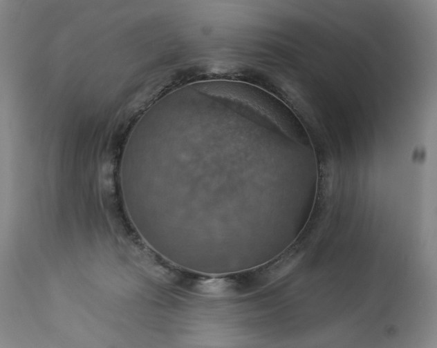 X0000113230269200909241530