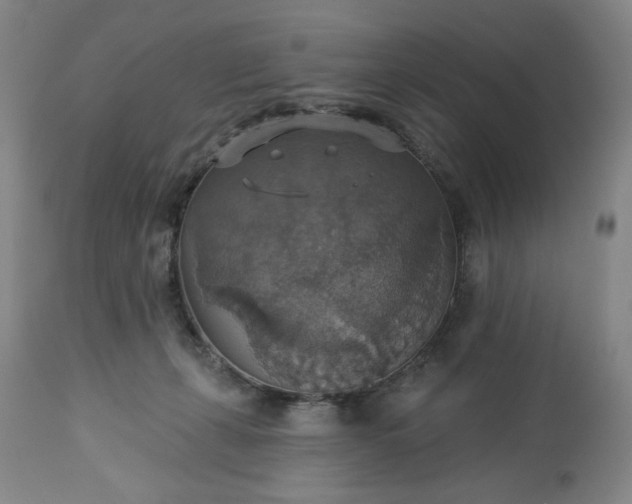 X0000113230271200909241530