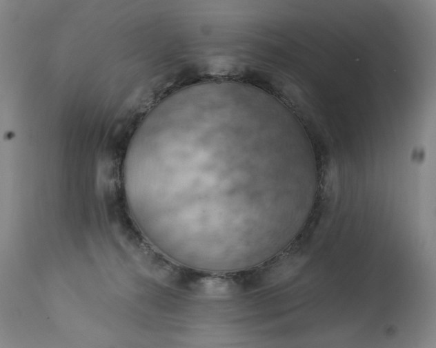 X0000113230272200909241530