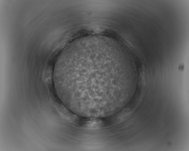 X0000113230274200909241530