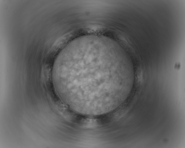 X0000113230276200909241530