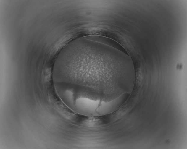 X0000113230278200909241530