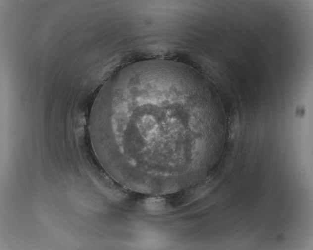 X0000113230279200909241530