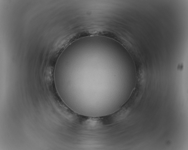 X0000113230280200909241530