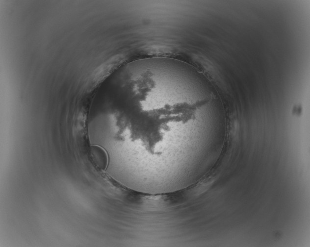 X0000113230281200909241530