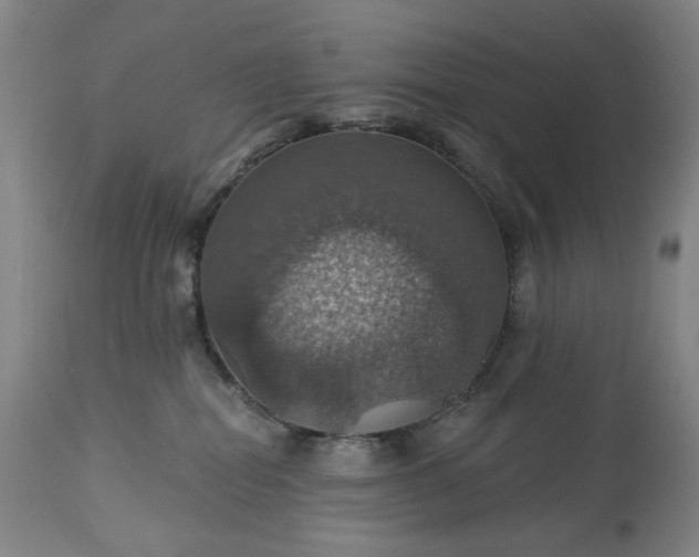 X0000113230282200909241530