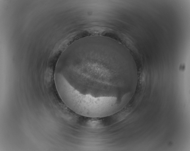 X0000113230283200909241530