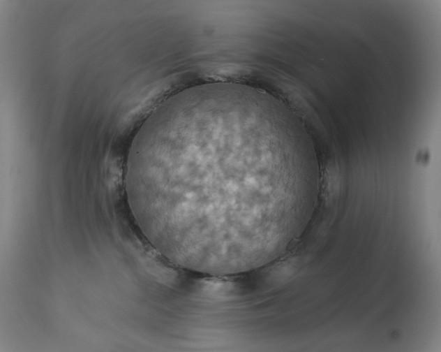 X0000113230284200909241530