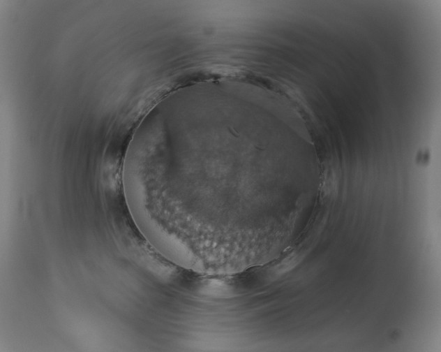 X0000113230285200909241530