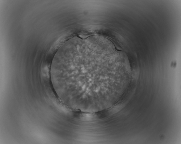 X0000113230286200909241530