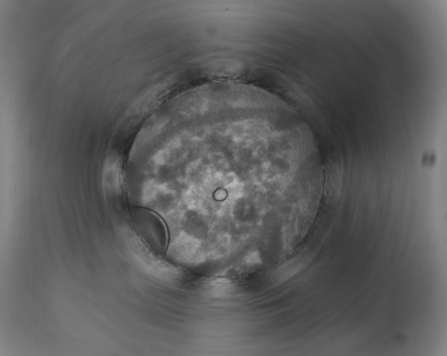 X0000113230287200909241530